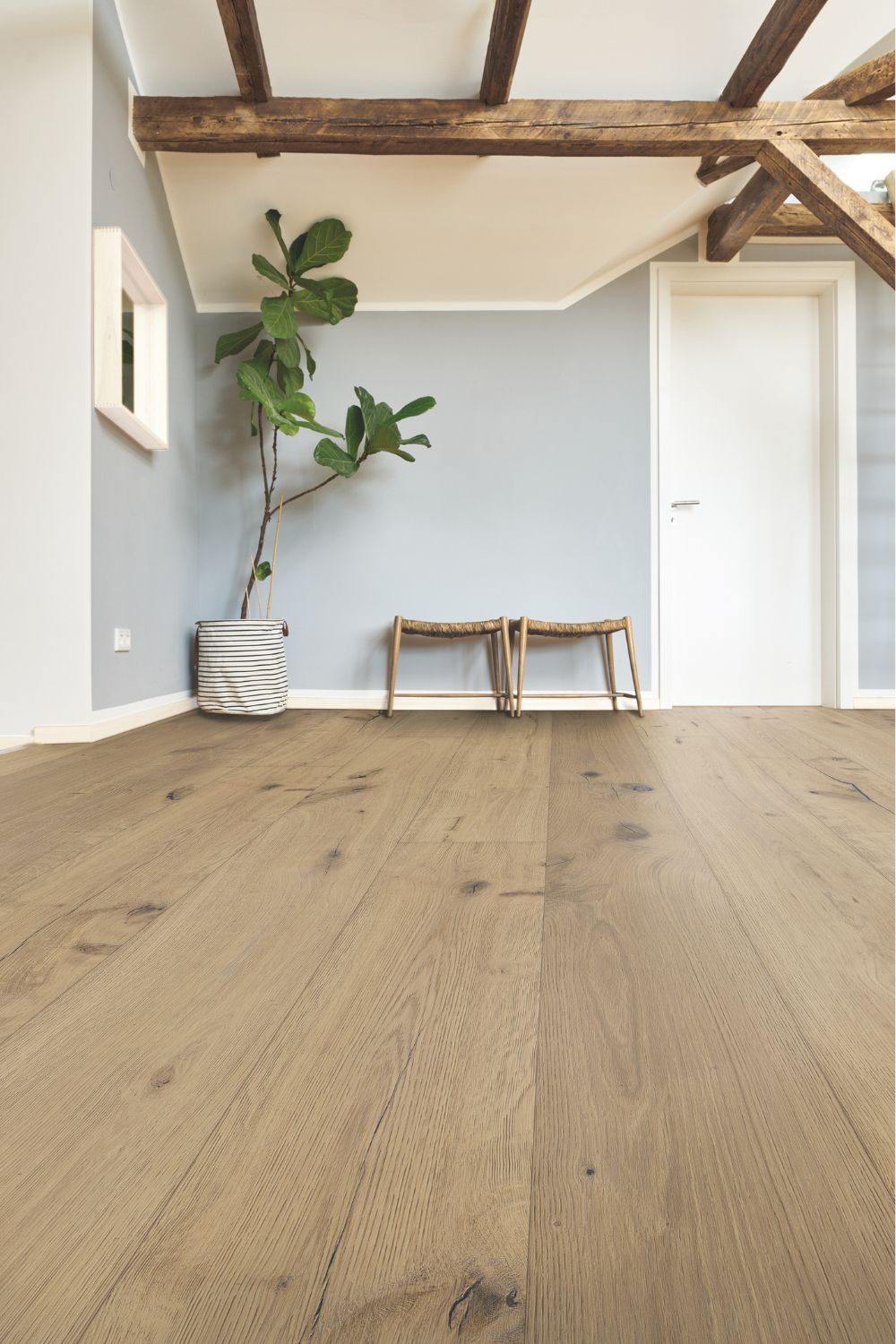 Landhausdiele Eiche Amsterdam im Flur