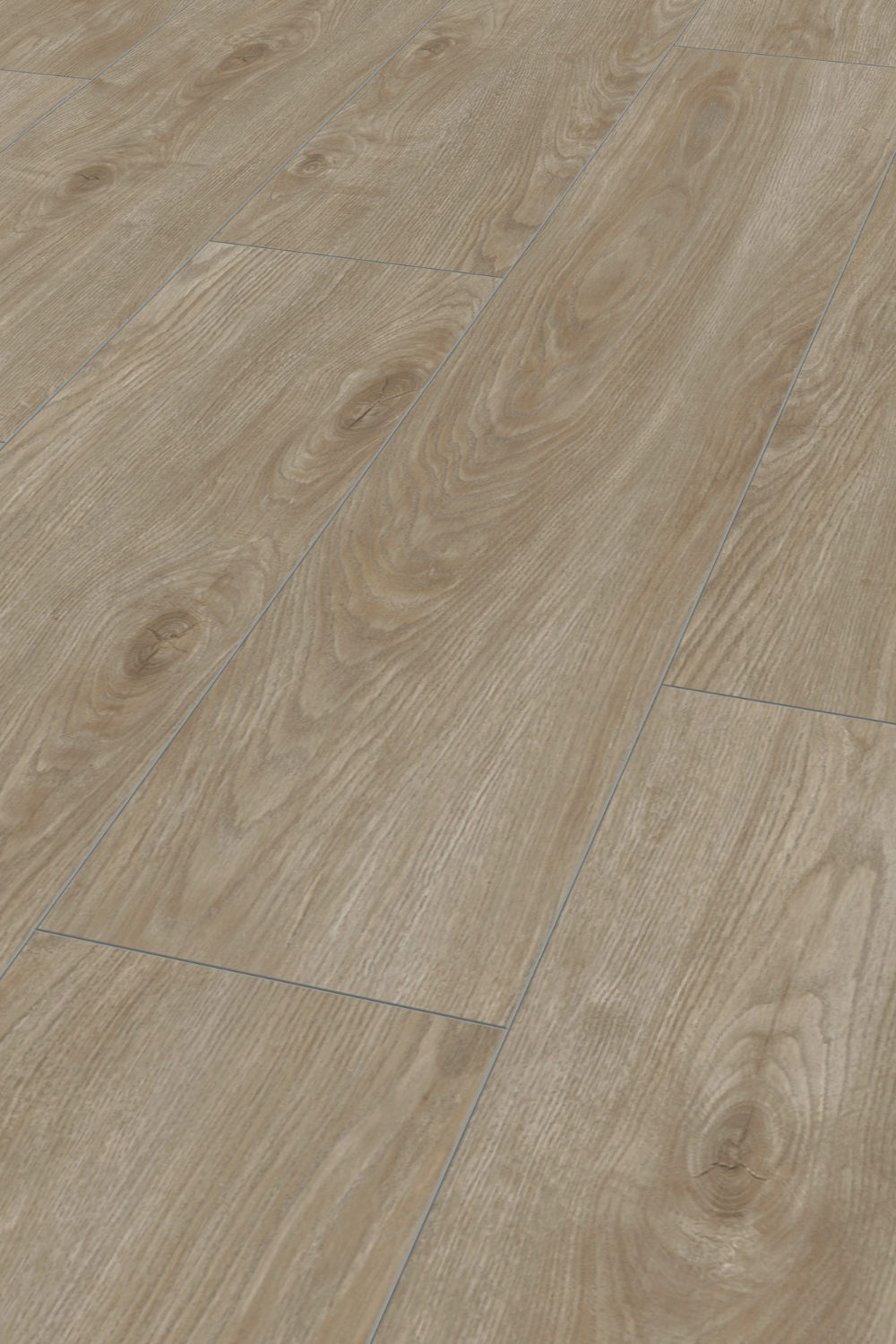 Laminatboden Eiche Oder im Detail